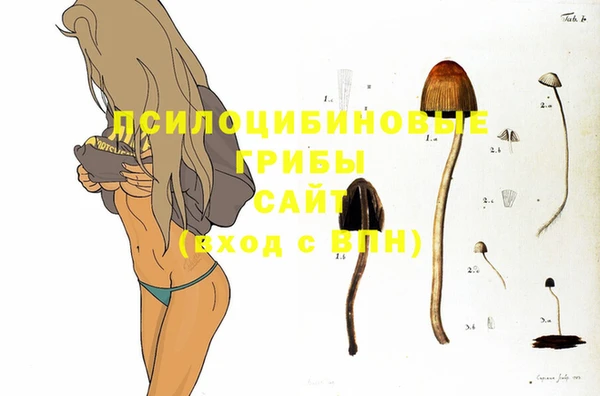 2c-b Лиски