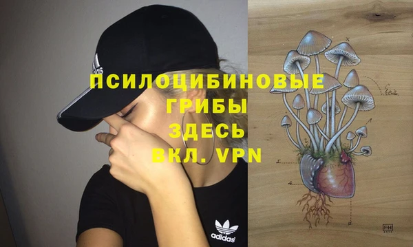 2c-b Лиски
