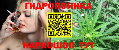 сатива Волгодонск