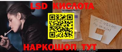 стаф Берёзовский