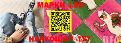стаф Берёзовский