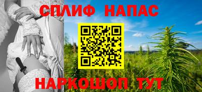 стаф Берёзовский