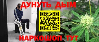 стаф Берёзовский
