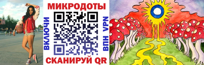 мега tor  Губкин  Псилоцибиновые грибы Magic Shrooms 
