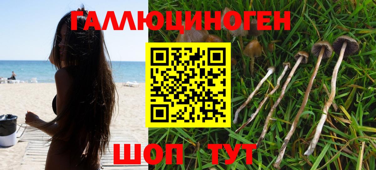 Галлюциногенные грибы мухоморы Губкин