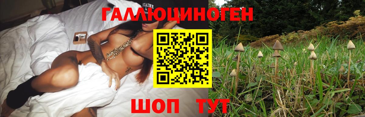 Галлюциногенные грибы Psilocybe  Губкин  Галлюциногенные грибы ЛСД 