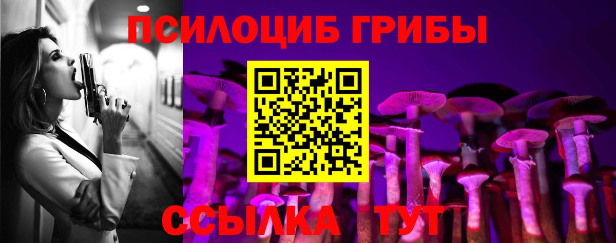 Галлюциногенные грибы мицелий Губкин